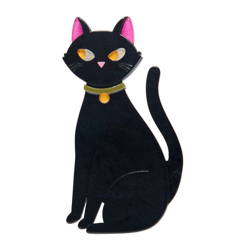 Erstwilder Bad Luck Charm Brooch