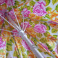 Vintage Pink and Yellow Floral Umbrella