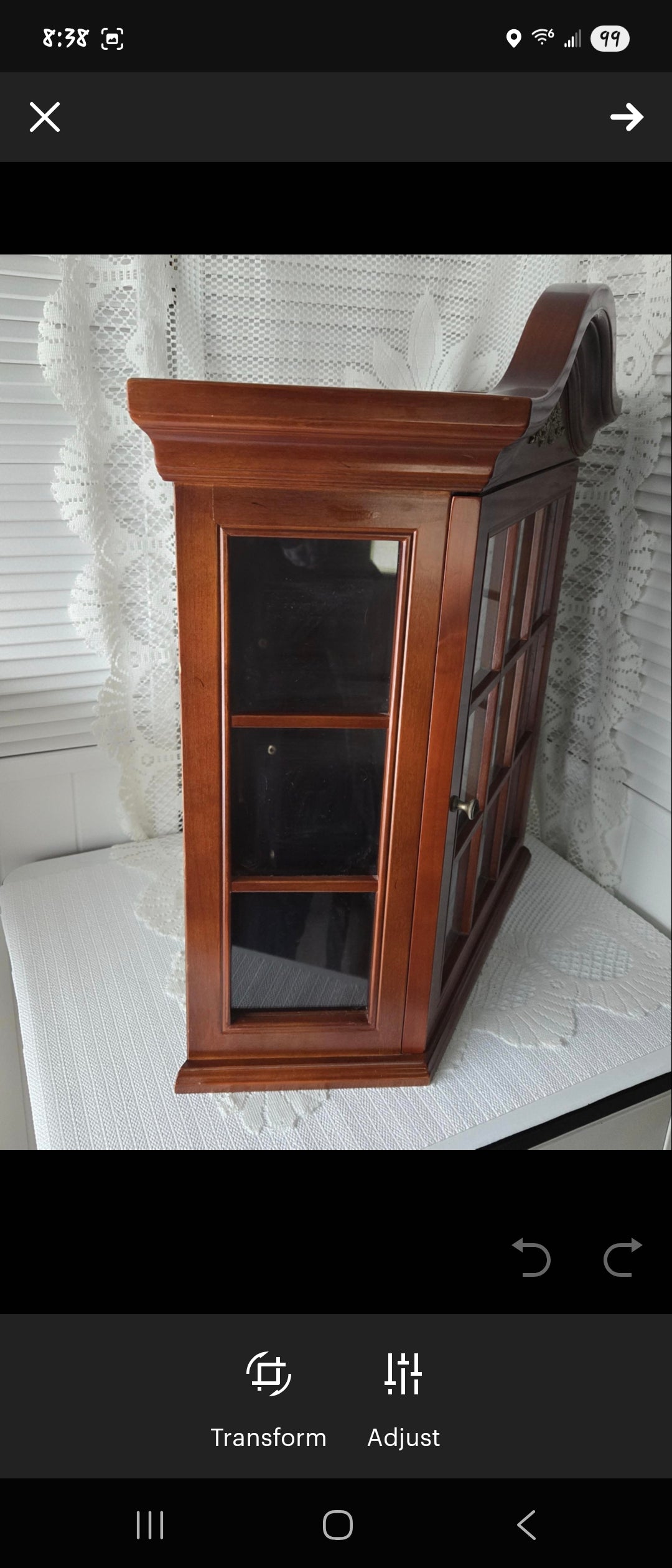 Bombay Wall Curio Display Case