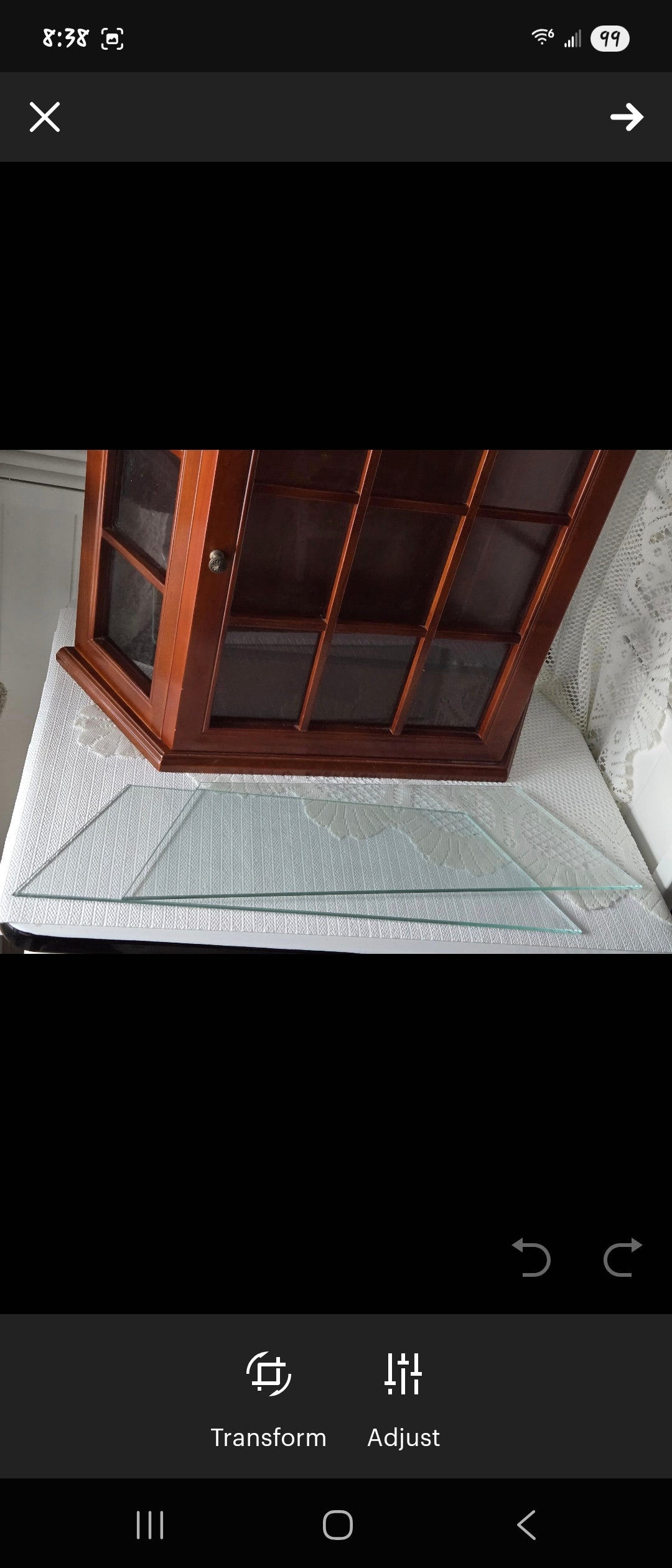 Bombay Wall Curio Display Case