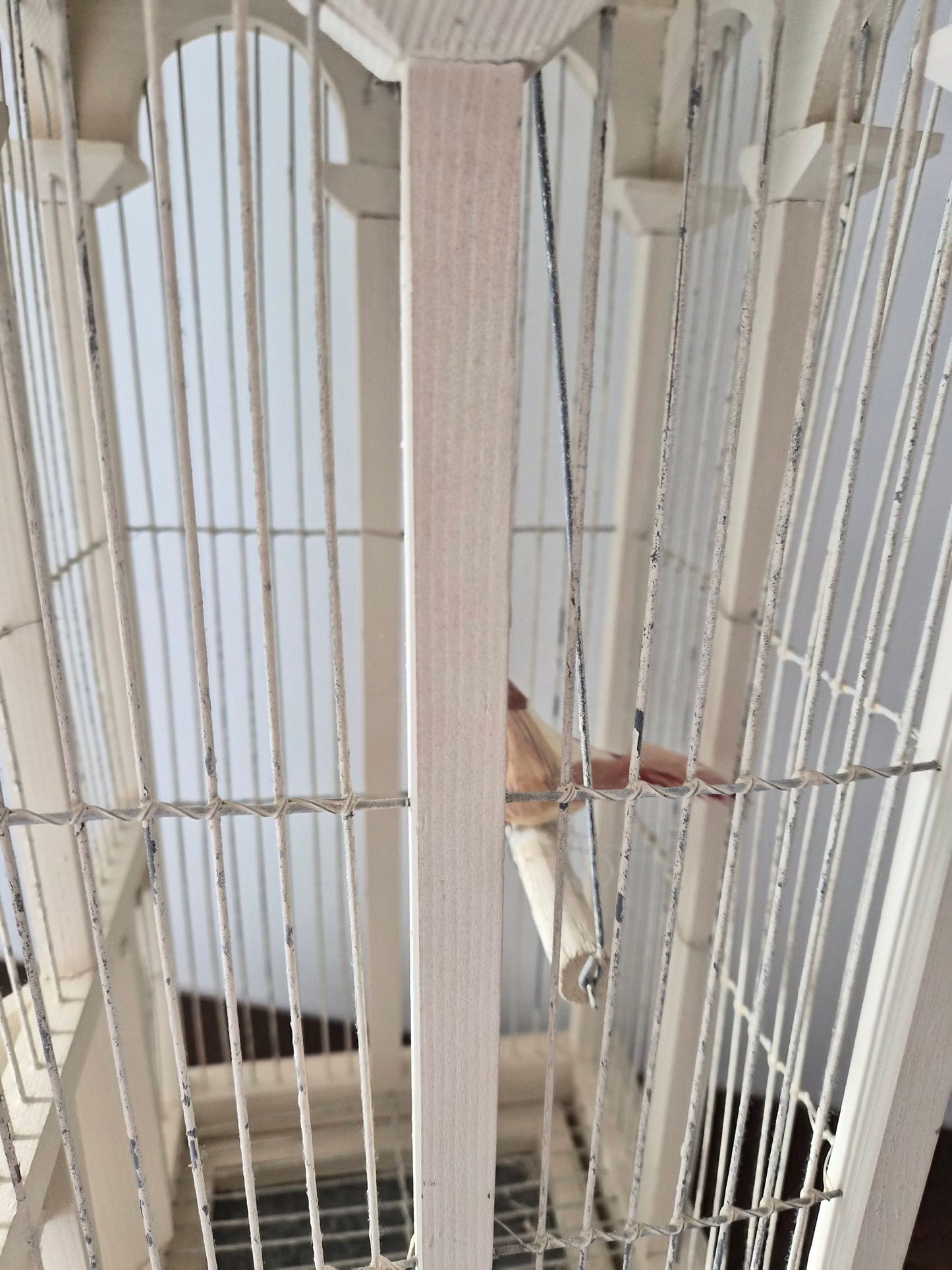 Shabby Chic Tower Bird Cage