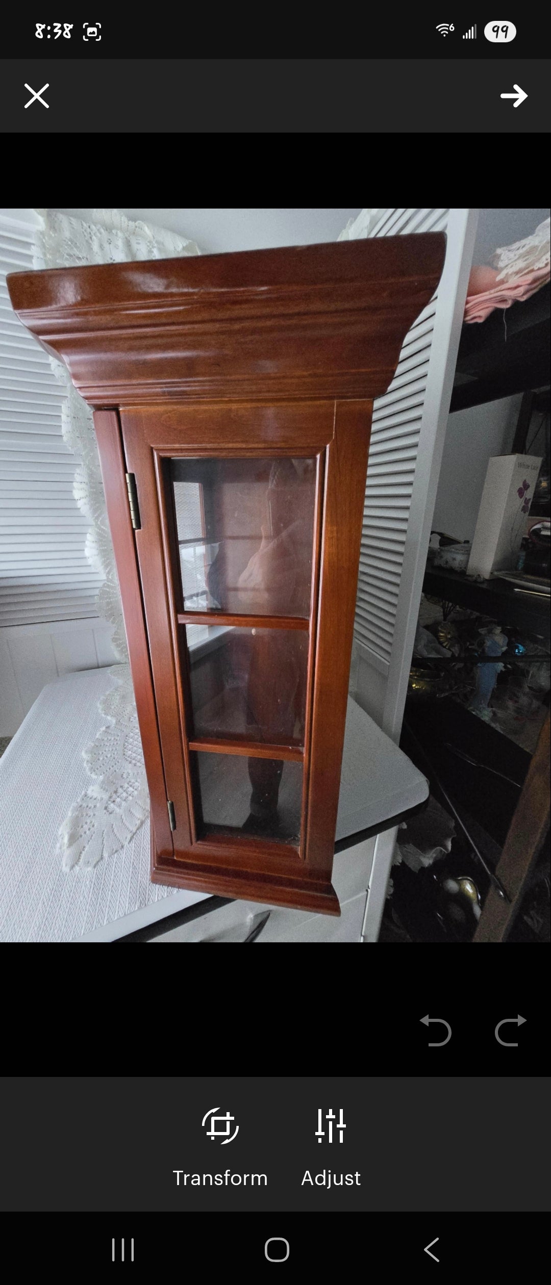 Bombay Wall Curio Display Case