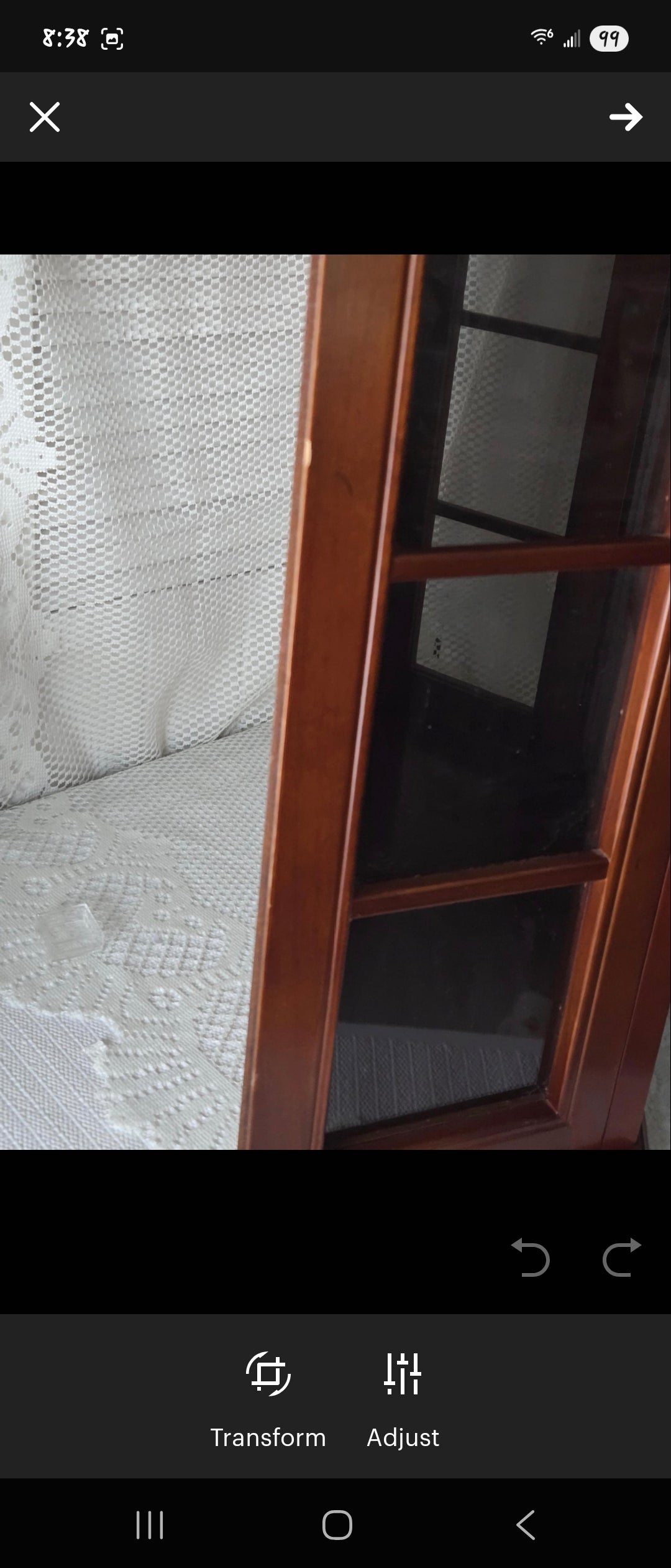 Bombay Wall Curio Display Case