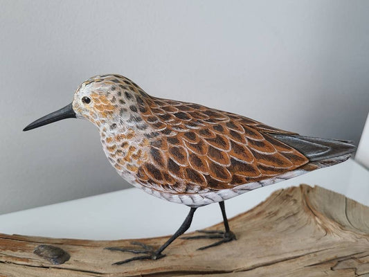 Vintage Handcarved R. Cash Dunlin