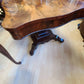 Mahogany Serpentine Curved Table - Local Pick up Only Clarence, NY