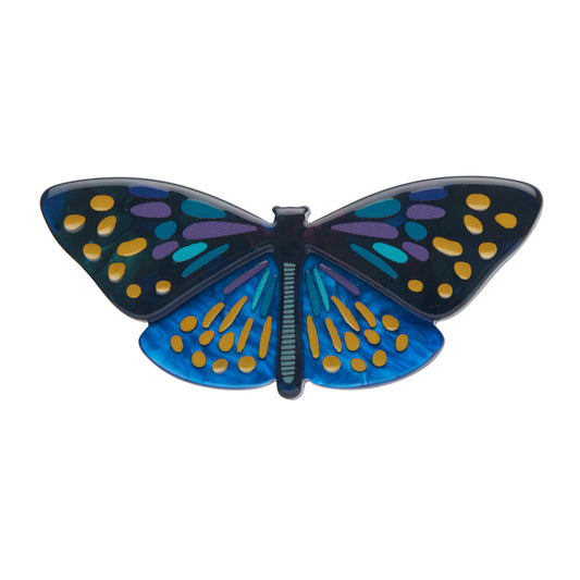 Erstwilder Set Yourself Free Butterfly Brooch